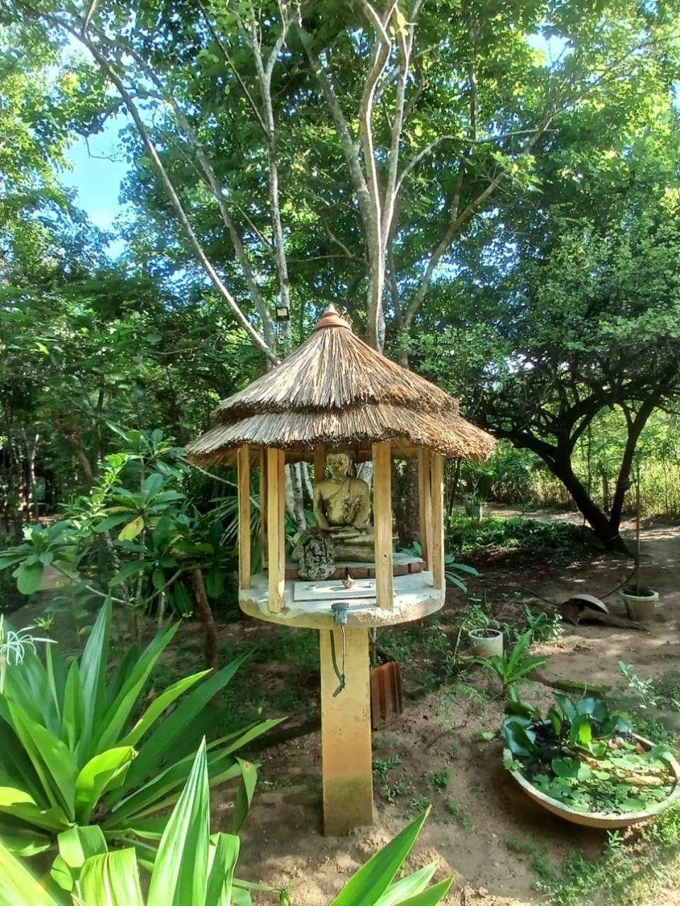 Villa Habarana Buitenkant foto